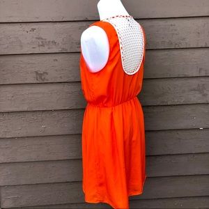 bar III dress with crochet fishnet back!